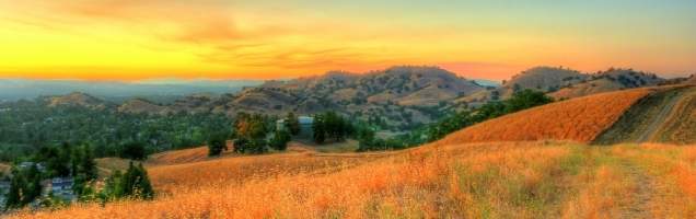 inglês em Walnut Creek com Language International